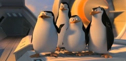 Пингвины из Мадагаскара (2014) - обзор кино